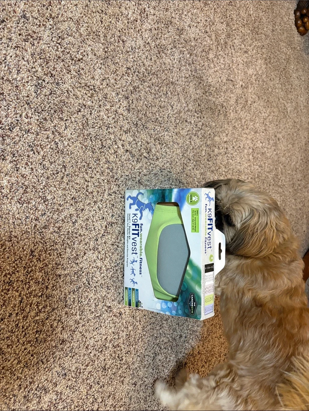 K9FitVest Canine Fitness Vest in Lime Green